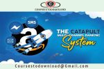Manauel Suarez – The Cataplut Ranking System 